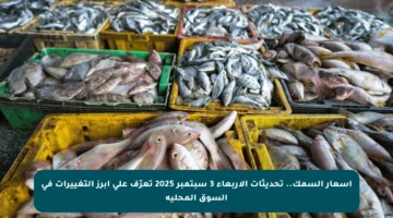 أسعار السمك.. تحديثات الأربعاء 3 سبتمبر 2025 تعرّف على أبرز التغييرات في السوق المحلية